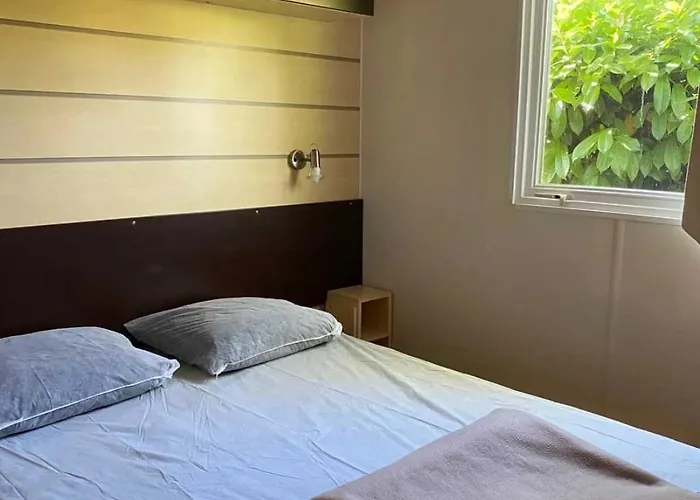 Zecamping 2 Animaux Acceptes Dans Un Environnement Calme Et Naturel Campsite